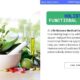Unlock the Power of Holistic Functional Medicine