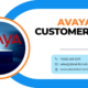 Reach Avaya Customers with Our Verified Avaya Customers List