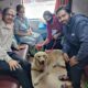 Pet Travel via Train
