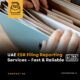 UAE ESR Filing Reporting Services – Fast & Reliable