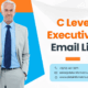 Connect with Top Professionals Using Our C-Level Executives Email List
