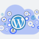 Partner with the Best WordPress Development Company in India