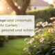 Gartenpflege und Unterhalt: So bleibt Ihr Garten dauerhaft gesund und