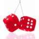 Roll with Fun Branding Using Custom Fuzzy Dice from PapaChina