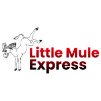 Thumbnail for the listing's main image