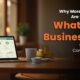 Why More Businesses Are Switching to WhatsApp Business API for Custome