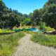 Healdsburg Landscapers