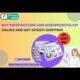 Buy Mifepristone and Misoprostol Kit Online and Get Speedy Shipping