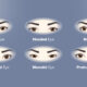 Discover Your Eye Shape and Expert Tips