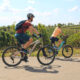 Electric Bikes For Rent Near Healdsburg
