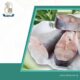 Trusted Frozen Food Supplier Singapore for Premium Quality Products