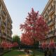 Premium Homes at Meffier Floors in Sector 5, Sohna