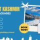 Affordable Kashmir Packages for Every Traveller - Happy Holidays
