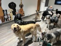 Thumbnail for the listing's main image