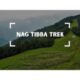 Book Nag Tibba Trek at best price