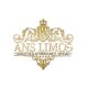 ANS Limousine Service