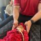 Professional Chiropractor Services in Auburn, Alabama