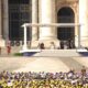 Customized One Day Rome Private Tours for All Travelers