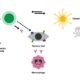 Cancer Proliferation Assays for Immuno-Oncology Research