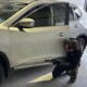 Find Genuine and Comprehensive Crash Repair Adelaide