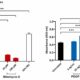 Accurate Cell-Based Testing for Reliable Research Outcomes