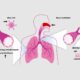 Drug Discovery Outsourcing Services for Faster Research Progress