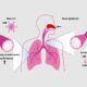 Trusted Research Support for Respiratory Drug Development