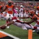 Chiropractic Care for Athletes, Mobility, Recovery and Performance