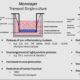 Inflammatory Bowel Disease Research and Assay Solutions