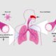 Early-Stage Drug Discovery CRO Services for Research Programmes