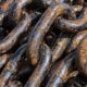 Get Top Dollars for Old Machinery Recycling Adelaide