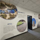 Wall Graphics Charlotte NC for Stylish Office Wall Designs