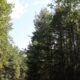 Where Are the Best Private RV Site in Westfield Parish, NB- Robin Hood