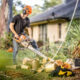 Expert Tree Lopping in Adelaide Hills for Every Property
